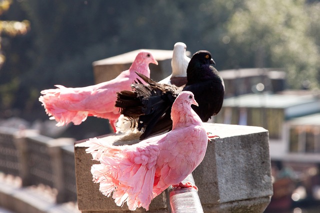 西班牙U21队11月大名单：莫斯克拉领衔，贡萨洛、吉乌在列