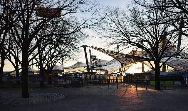 后卫已经多 后卫已经多