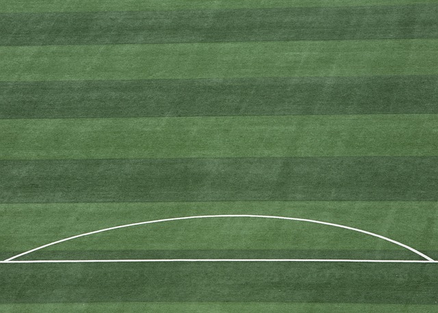 NBA战报：勇士111-95取胜，排名第7，快船狂胜，西部第6成抢手货.